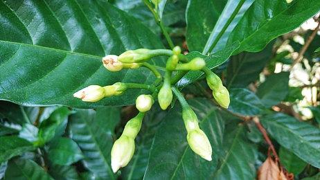 GTAOL：万圣节来临之际，灵异和超自然现象的报道不断增加